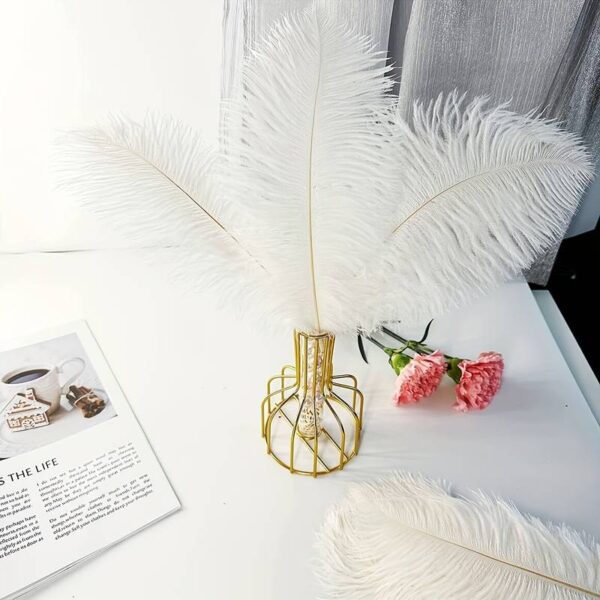 Colorful Ostrich Feather - Image 2