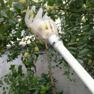 Fruit Picker Basket