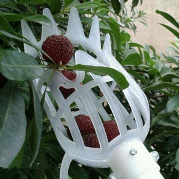 Fruit Picker Basket - Image 2