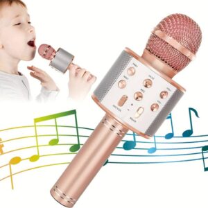 Portable Wireless Microphone