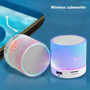 Portable Wireless Speaker