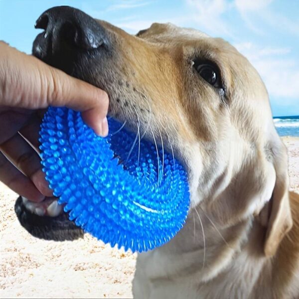Donut Chew Toy For Dogs