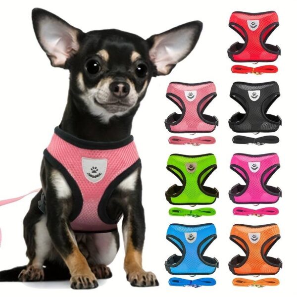 Pet Harness