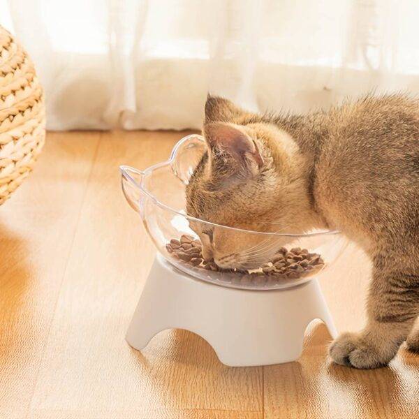 Pet Feeding Bowl